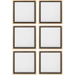 Set/6-21.5X21.5X2 Reverse Shadowbox Mir