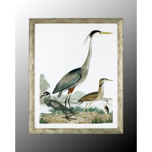 35X43 Large Heron Family I