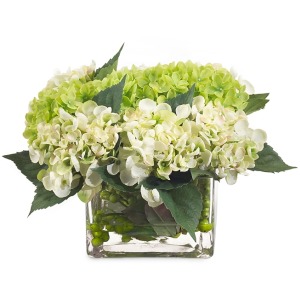 Hydrangea Row