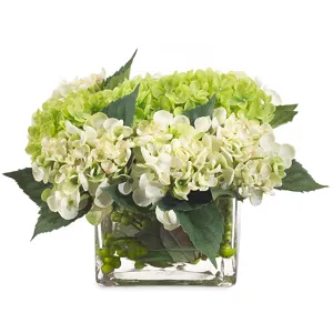 Hydrangea Row