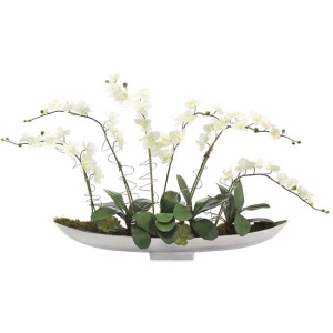 Silver Orchids
