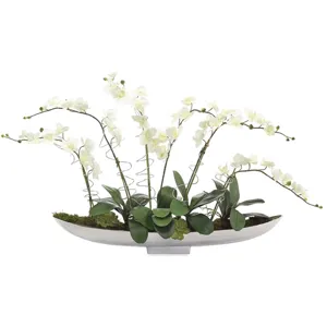 Silver Orchids