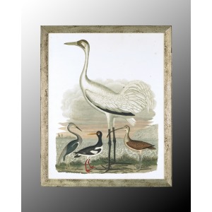 35X43 Large Heron Family II