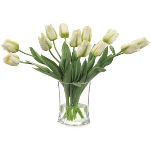 Simply Tulips