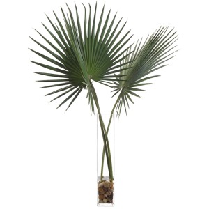 Delta Palmettos