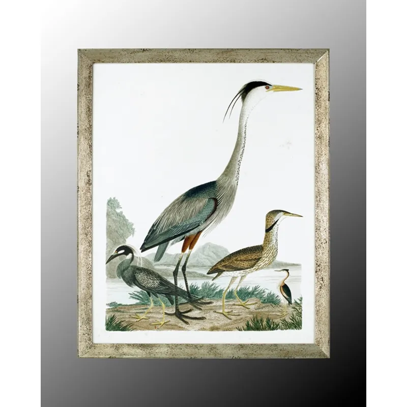 35X43 Large Heron Family I