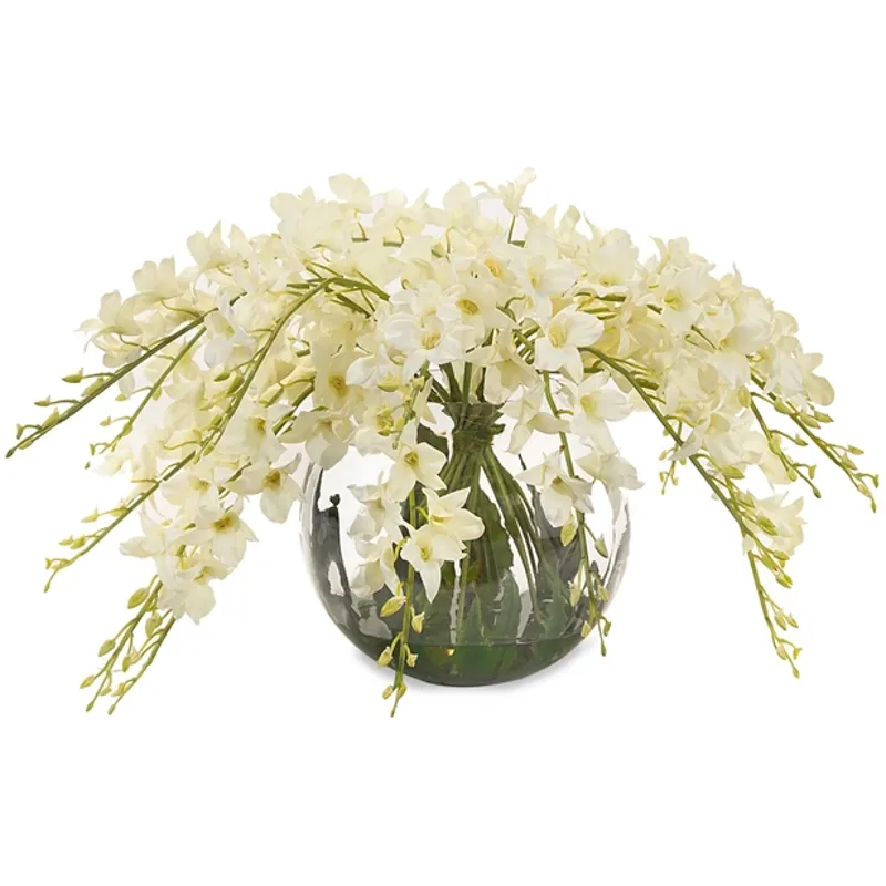 Enchanting Dendrobiums