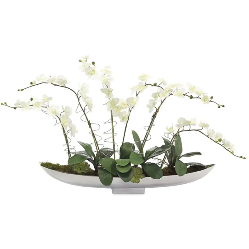 Silver Orchids