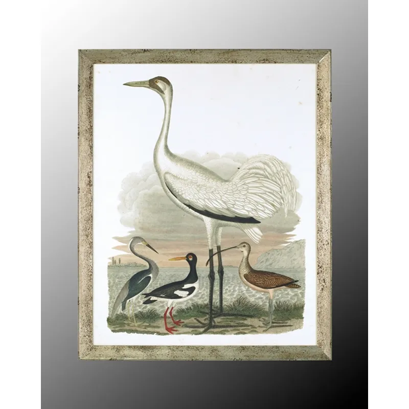 35X43 Large Heron Family II