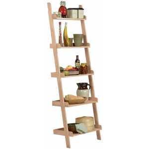 Accessory Ladder