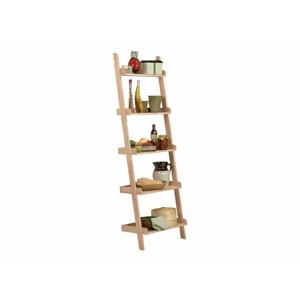 Accessory Ladder