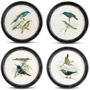 Assorted 13.75" Round Black Distressed Framed Bird Prints (4 Styles)