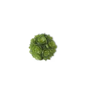4 Inch Succulent Ball