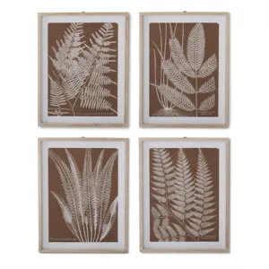 Assorted 27.75 Inch Natural Wood Framed Brown &amp; White Fern Prints