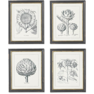22" Black & Gold Framed Sunflower & Artichoke Prints - Assorted