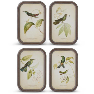 Assorted 17.75" Rounded Wood Framed Bird Print (4 Styles)