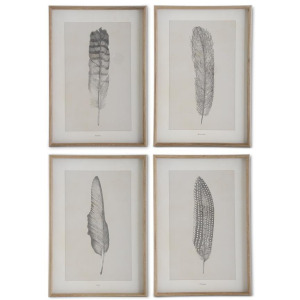 Assorted 25.5" Wood Framed Feather Prints (4 Styles)