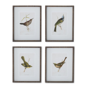 Assorted 19.75" Brown Ribbed Wood Framed Bird Prints (4 Styles)