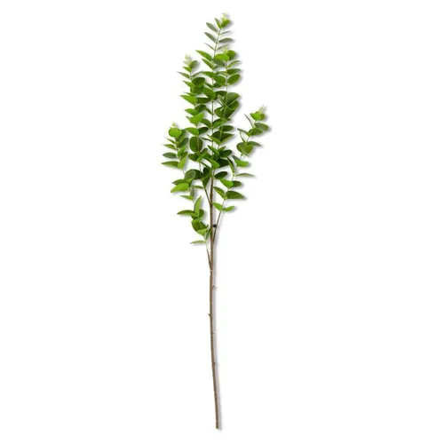 38" Dark Green Gunnii Eucalyptus Stem