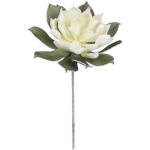 Botanica #2299