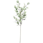 Botanica #875