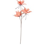 Botanica #2345