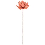 Botanica #3142
