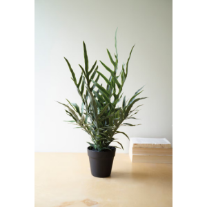 Artificial Fern in a Black Plastic Pot