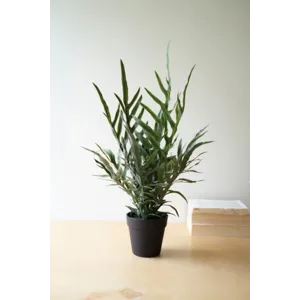 Artificial Fern in a Black Plastic Pot