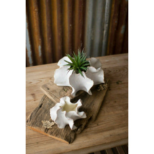 Organic Ceramic Planters - Set of 2