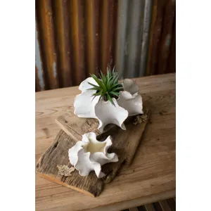 Organic Ceramic Planters - Set of 2