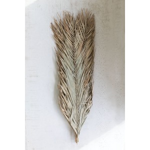 Natural Bundle of Date Palm Leaves