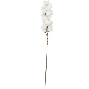 Botanica #3104