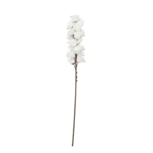 Botanica #3104