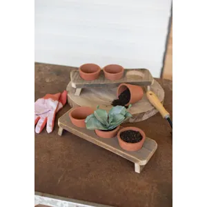Three Terracotta Flower Pots w/Wooden Base