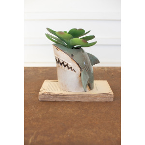 Ceramic Shark Planter