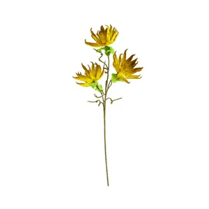 Botanica #3251