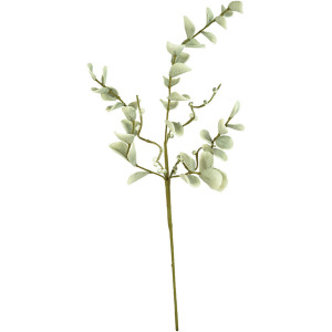 Botanica #2496