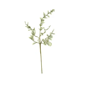 Botanica #2496