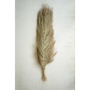 Bundle of 24 Sikha Branches