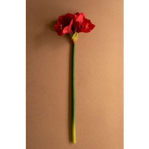 Artificial Amaryllis Stem