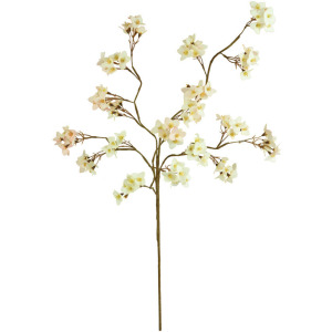 Botanica #3466