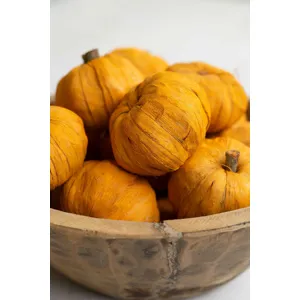 NTRP1030-3.jpg
