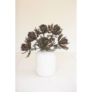 Botanica #3612