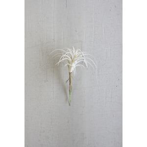 White Air Plant Small