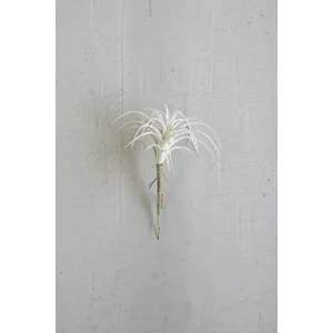 White Air Plant Small
