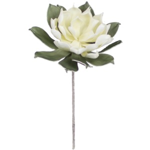 Botanica #2299