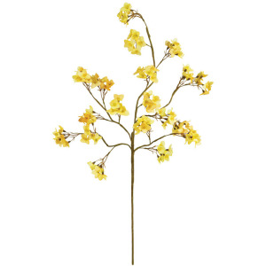 Botanica #3465
