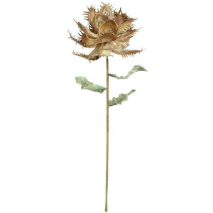 Botanica #2551