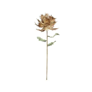 Botanica #2551